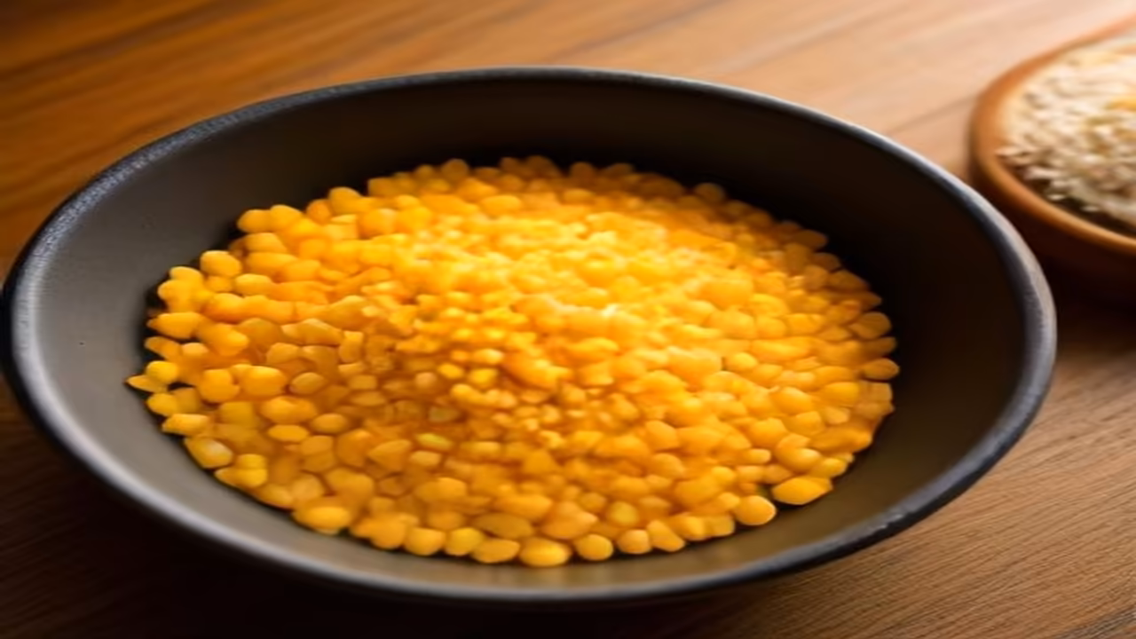 Bhutte Ka Kees and dog, dogeats.in Indian pet food safety