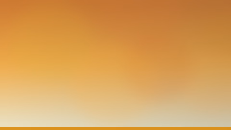 Handvo for dogs — dogeats.in
