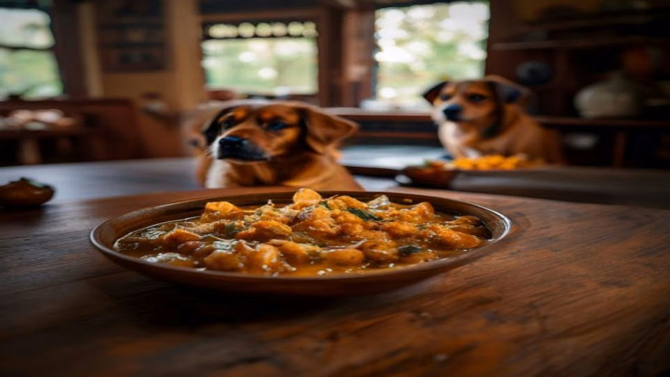 Navratan Korma and dog — dogeats.in Indian pet food safety