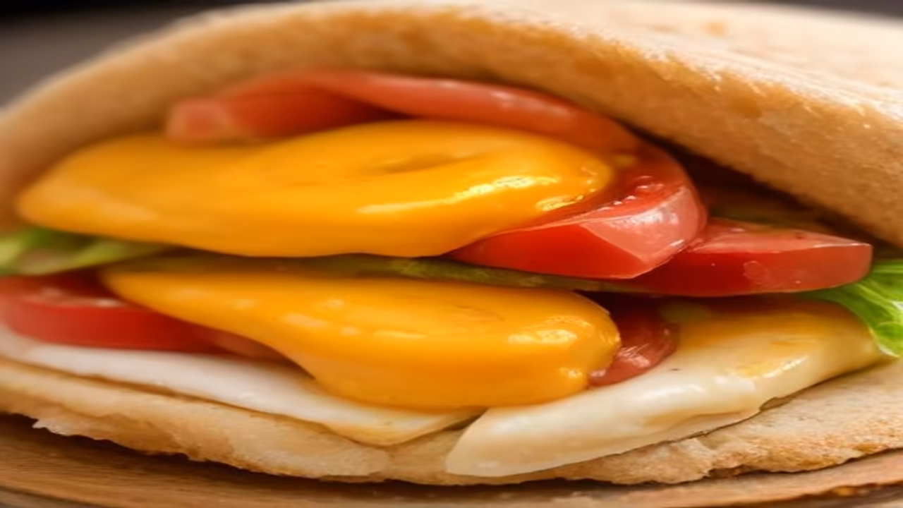 Sabich and dog, dogeats.in Indian pet food safety