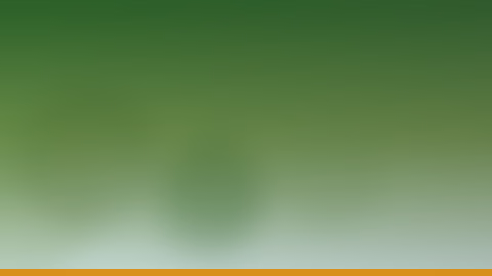 Sarson Saag and dog — dogeats.in Indian pet food safety