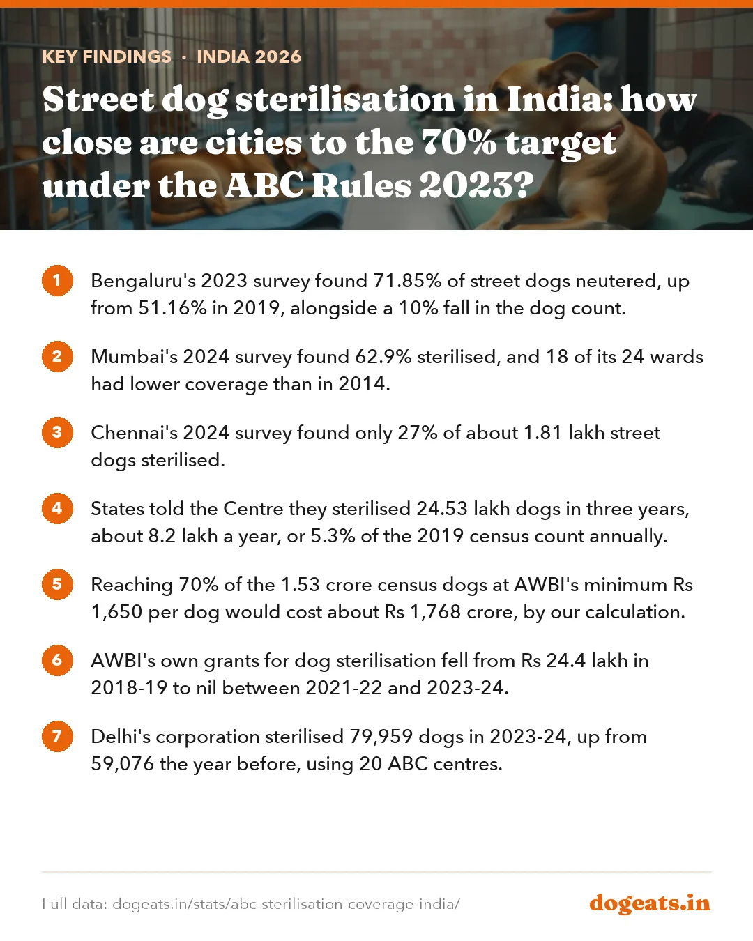 Key findings: Street dog sterilisation in India: how close are cities to the 70% target under the ABC Rules 2023?