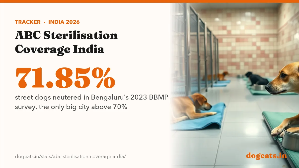 71.85% street dogs neutered in Bengaluru's 2023 BBMP survey, the only big city above 70%
