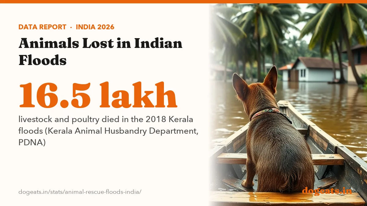 16.5 lakh livestock and poultry died in the 2018 Kerala floods (Kerala Animal Husbandry Department, PDNA)