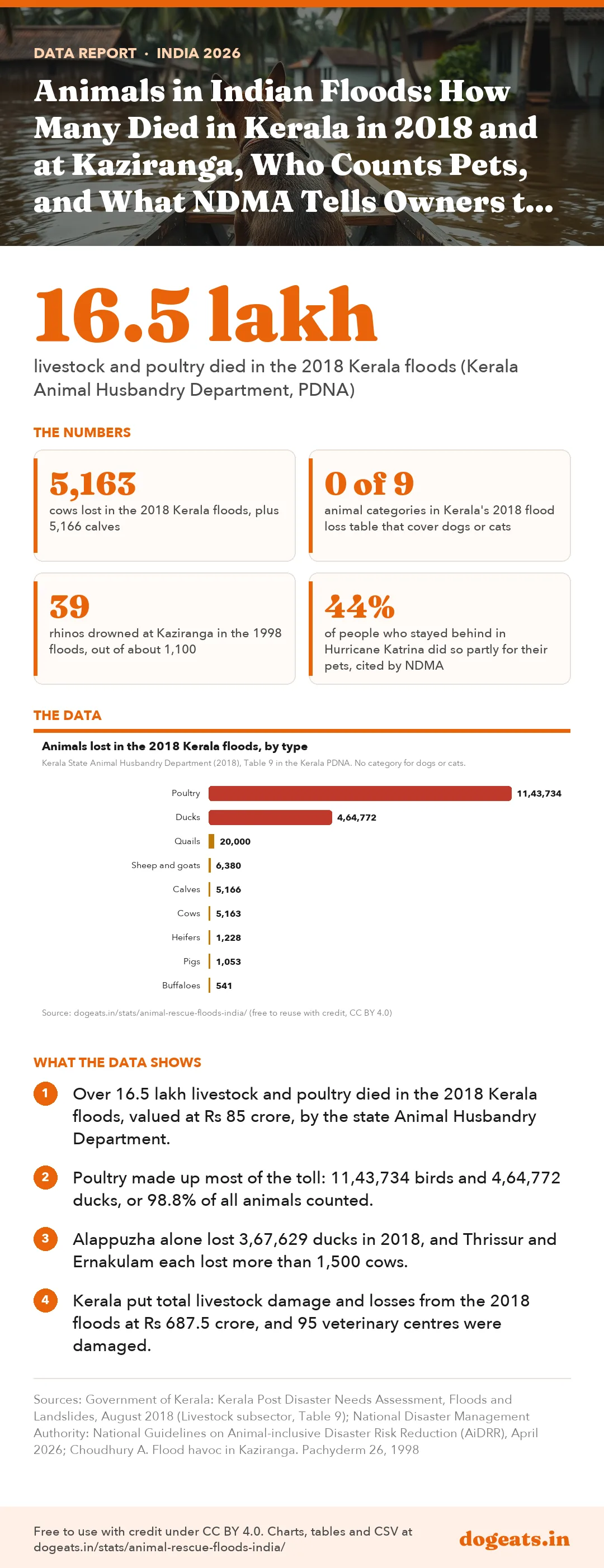 Infographic: Animals in Indian Floods: How Many Died in Kerala in 2018 and at Kaziranga, Who Counts Pets, and What NDMA Tells Owners to Do