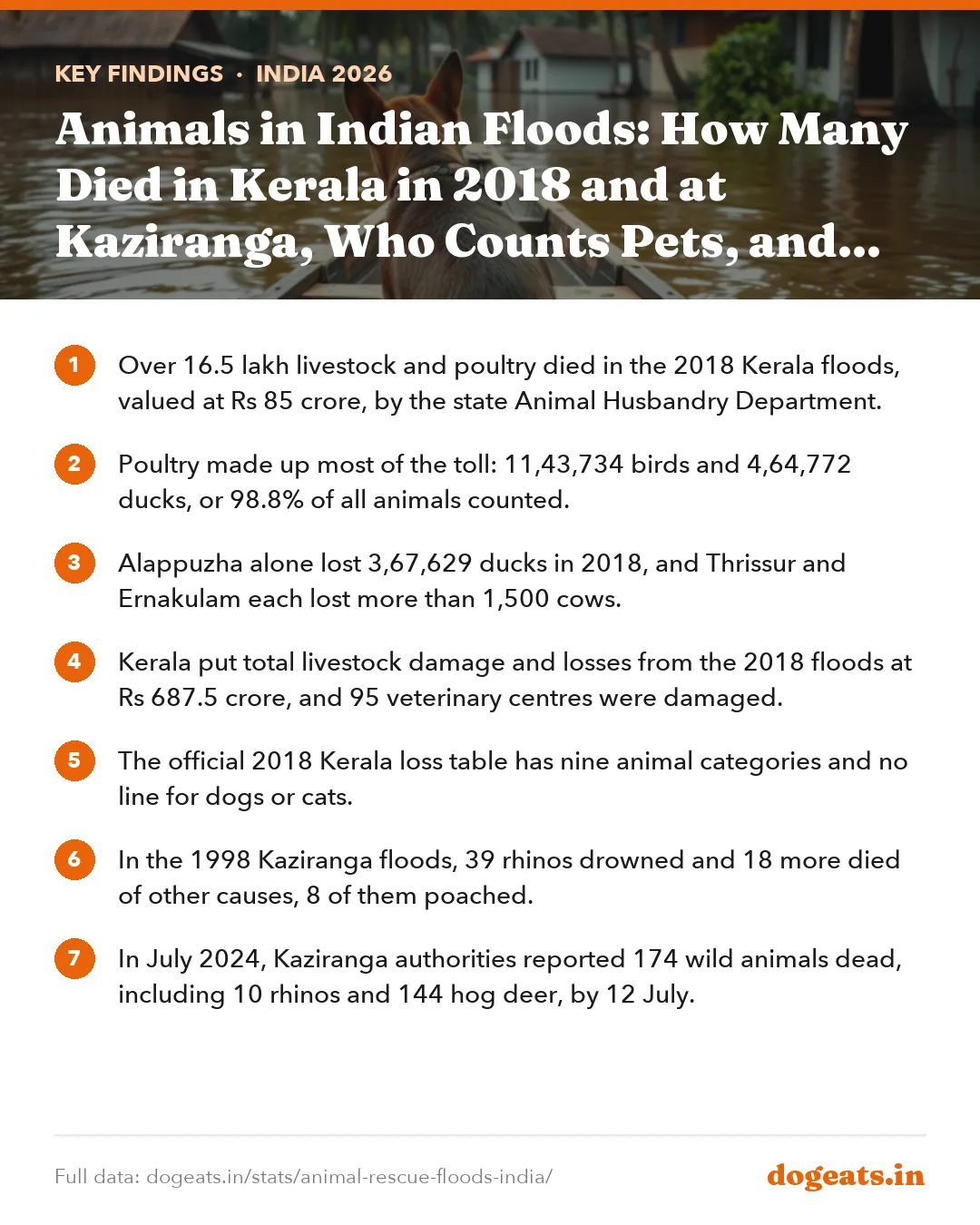 Key findings: Animals in Indian Floods: How Many Died in Kerala in 2018 and at Kaziranga, Who Counts Pets, and What NDMA Tells Owners to Do
