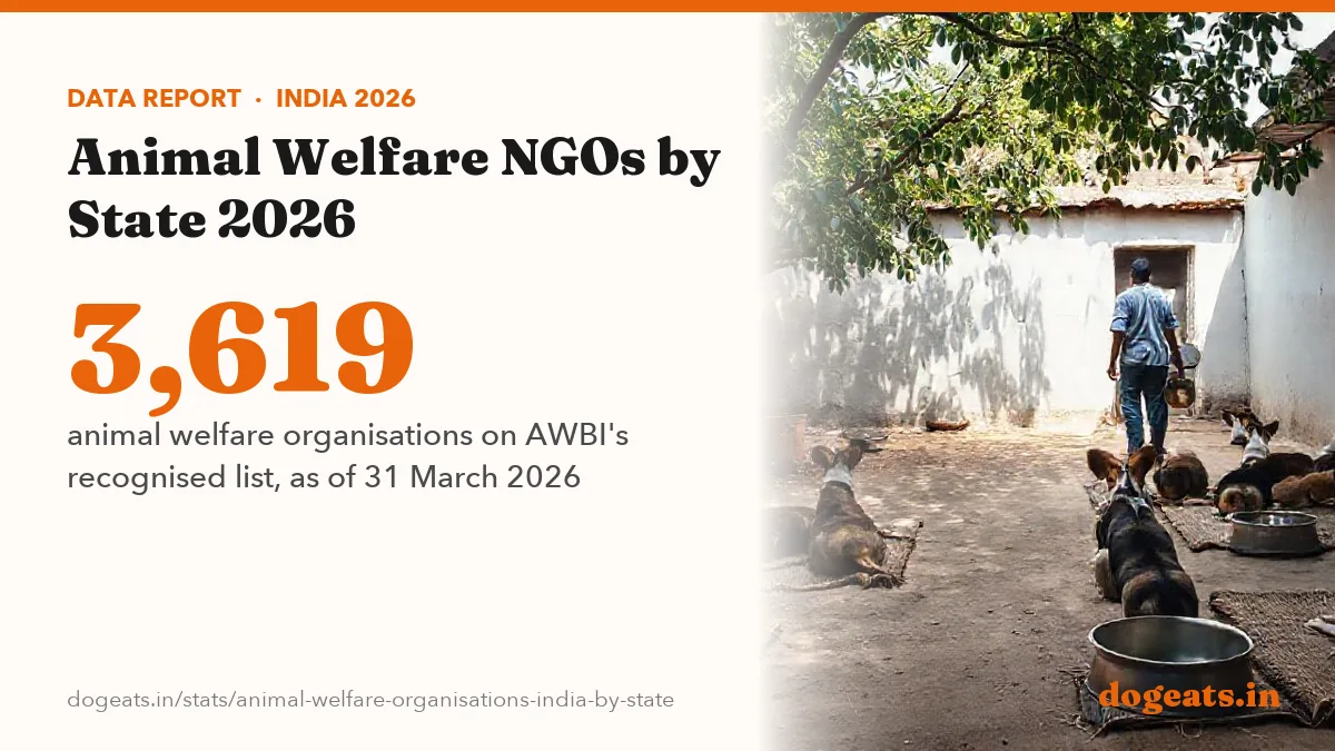 3,619 animal welfare organisations on AWBI's recognised list, as of 31 March 2026