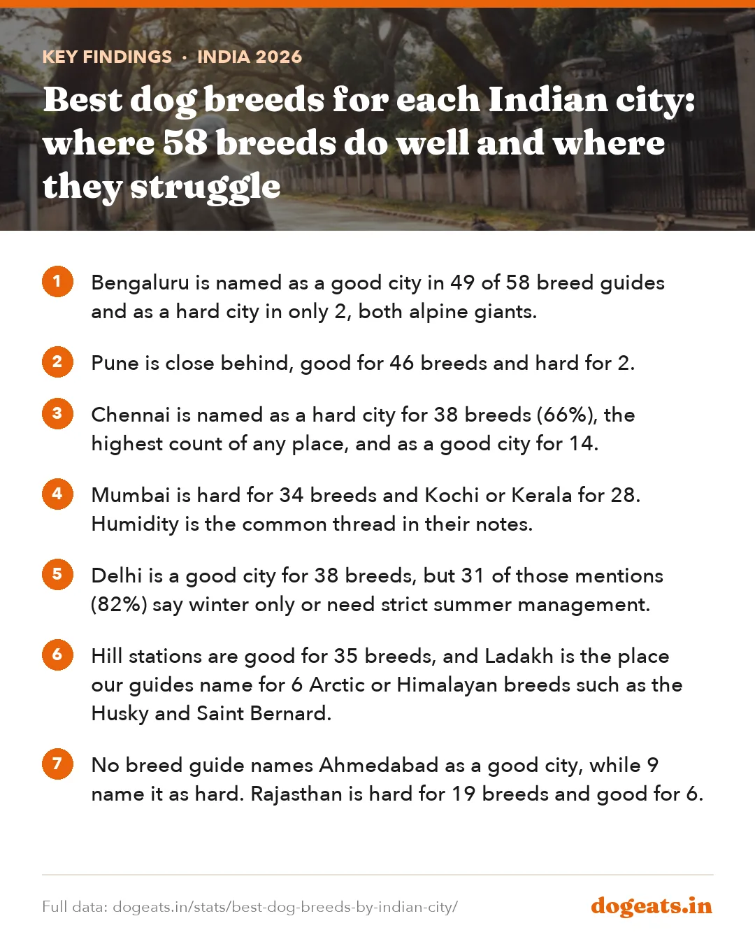 Key findings: Best dog breeds for each Indian city: where 58 breeds do well and where they struggle