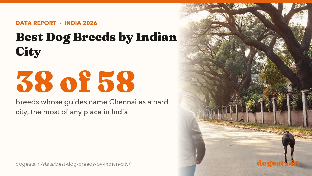 38 of 58 breeds whose guides name Chennai as a hard city, the most of any place in India