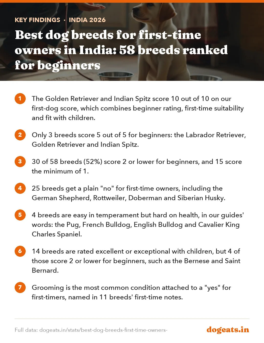Key findings: Best dog breeds for first-time owners in India: 58 breeds ranked for beginners