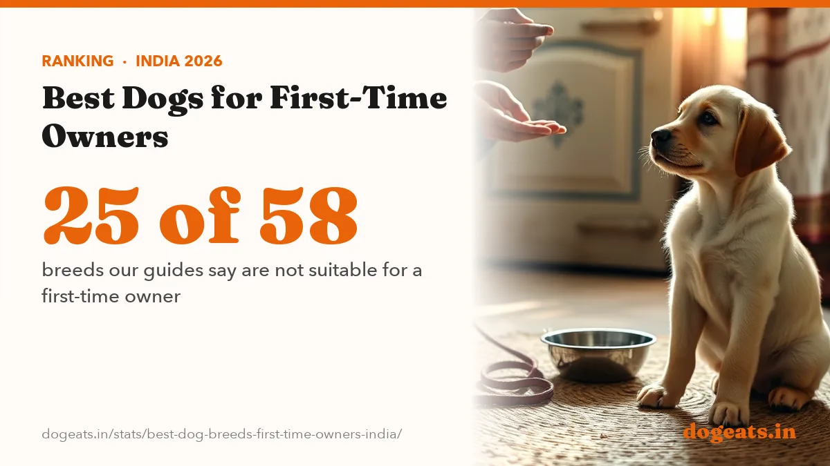 25 of 58 breeds our guides say are not suitable for a first-time owner