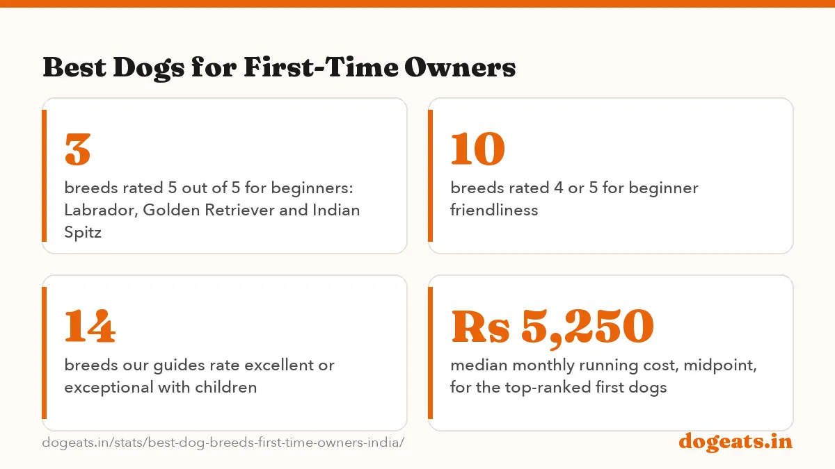 Best Dogs for First-Time Owners: the numbers