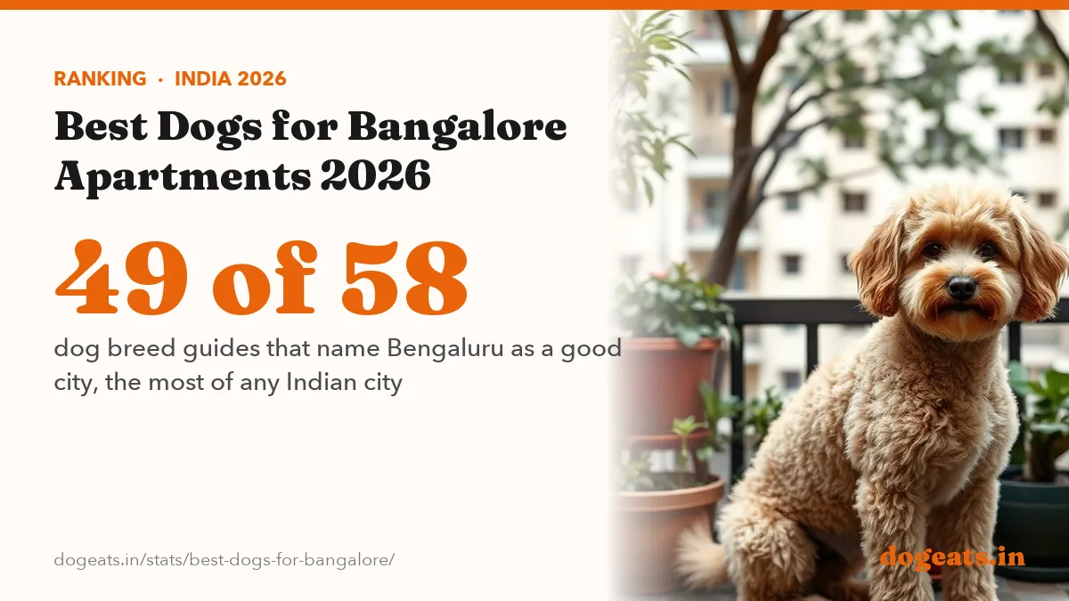 49 of 58 dog breed guides that name Bengaluru as a good city, the most of any Indian city