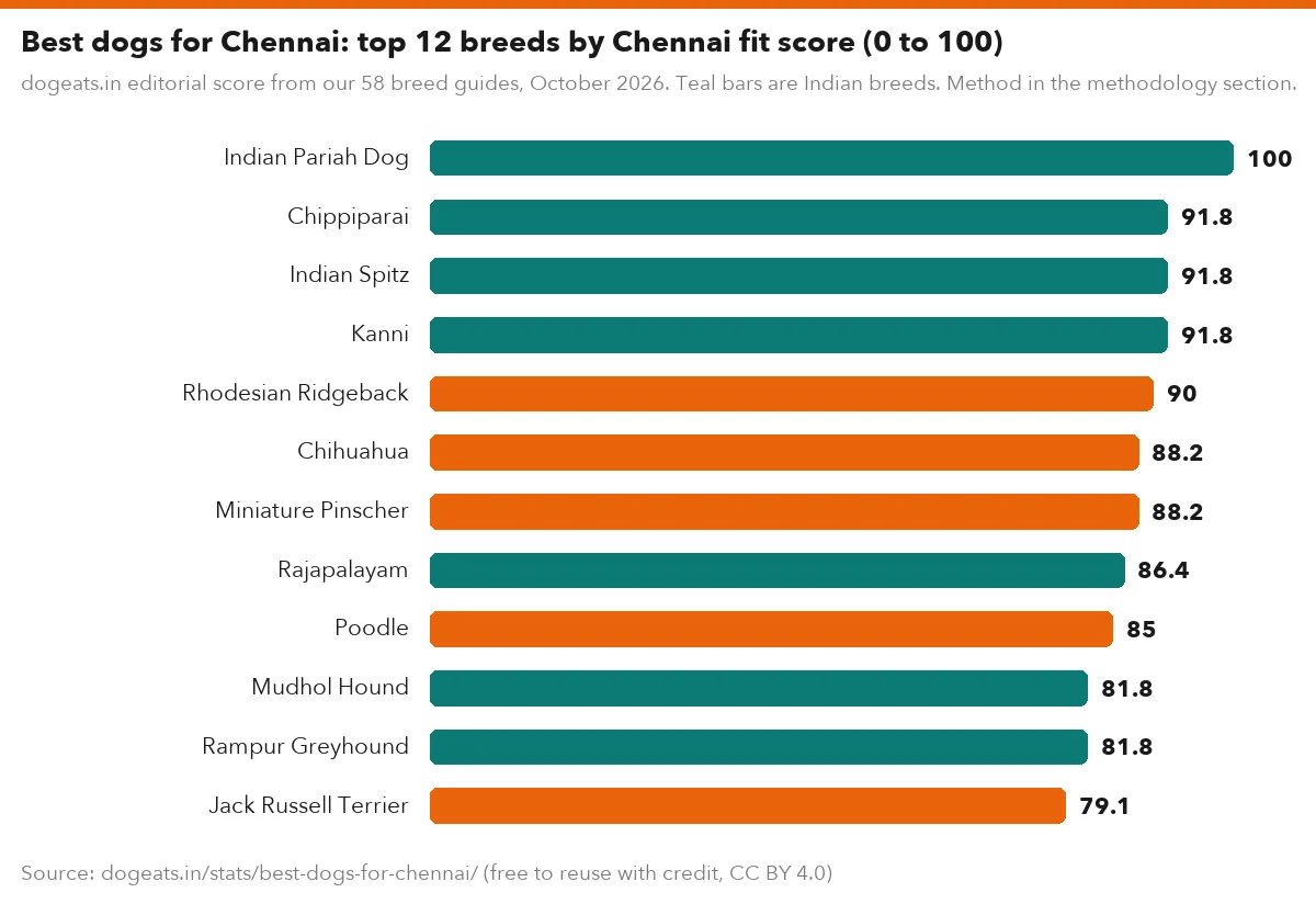 Best dogs for Chennai: top 12 breeds by Chennai fit score (0 to 100)