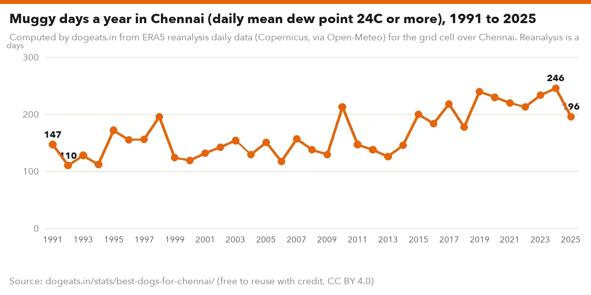 Muggy days a year in Chennai (daily mean dew point 24C or more), 1991 to 2025