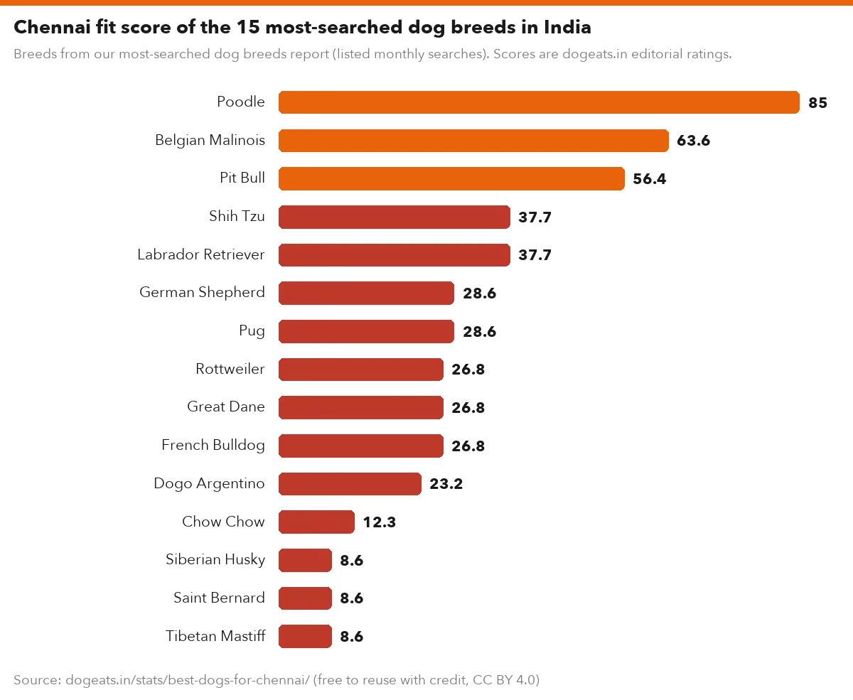 Chennai fit score of the 15 most-searched dog breeds in India
