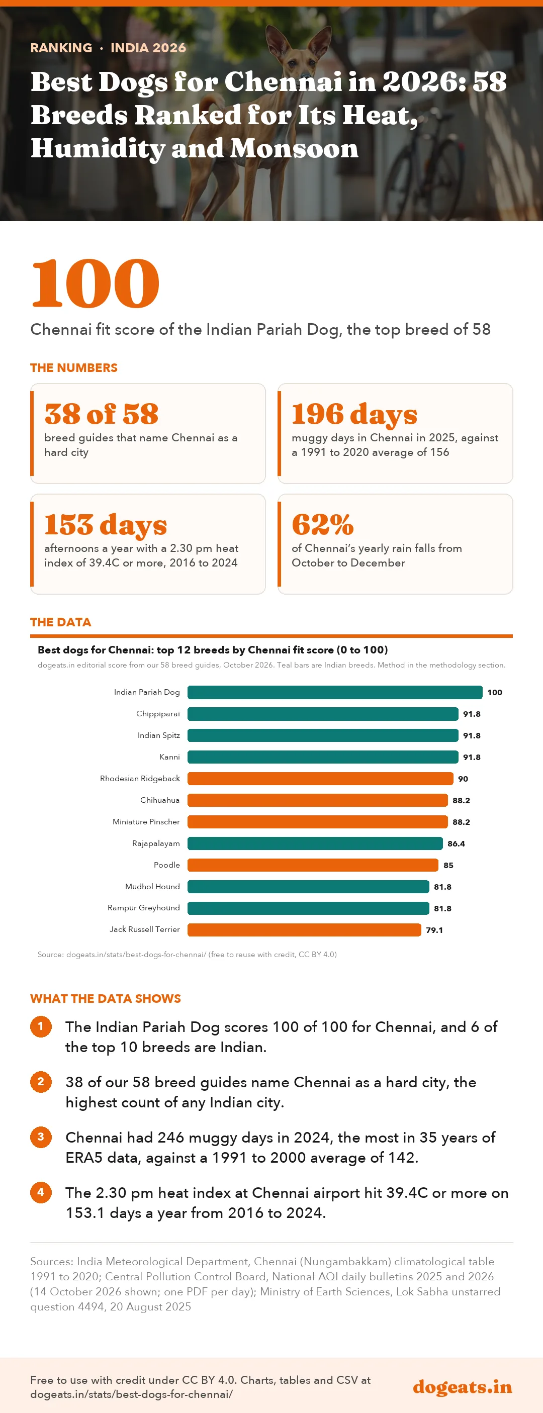 Infographic: Best Dogs for Chennai in 2026: 58 Breeds Ranked for Its Heat, Humidity and Monsoon