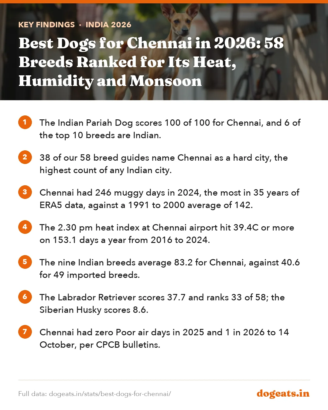 Key findings: Best Dogs for Chennai in 2026: 58 Breeds Ranked for Its Heat, Humidity and Monsoon