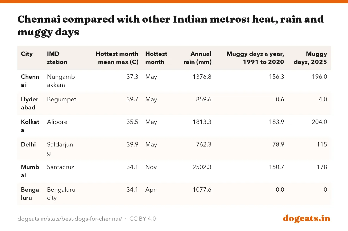 Chennai compared with other Indian metros: heat, rain and muggy days