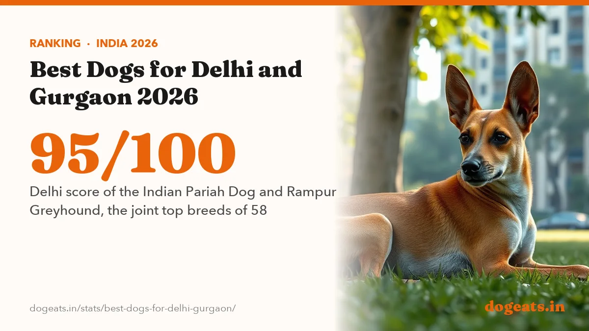 95/100 Delhi score of the Indian Pariah Dog and Rampur Greyhound, the joint top breeds of 58
