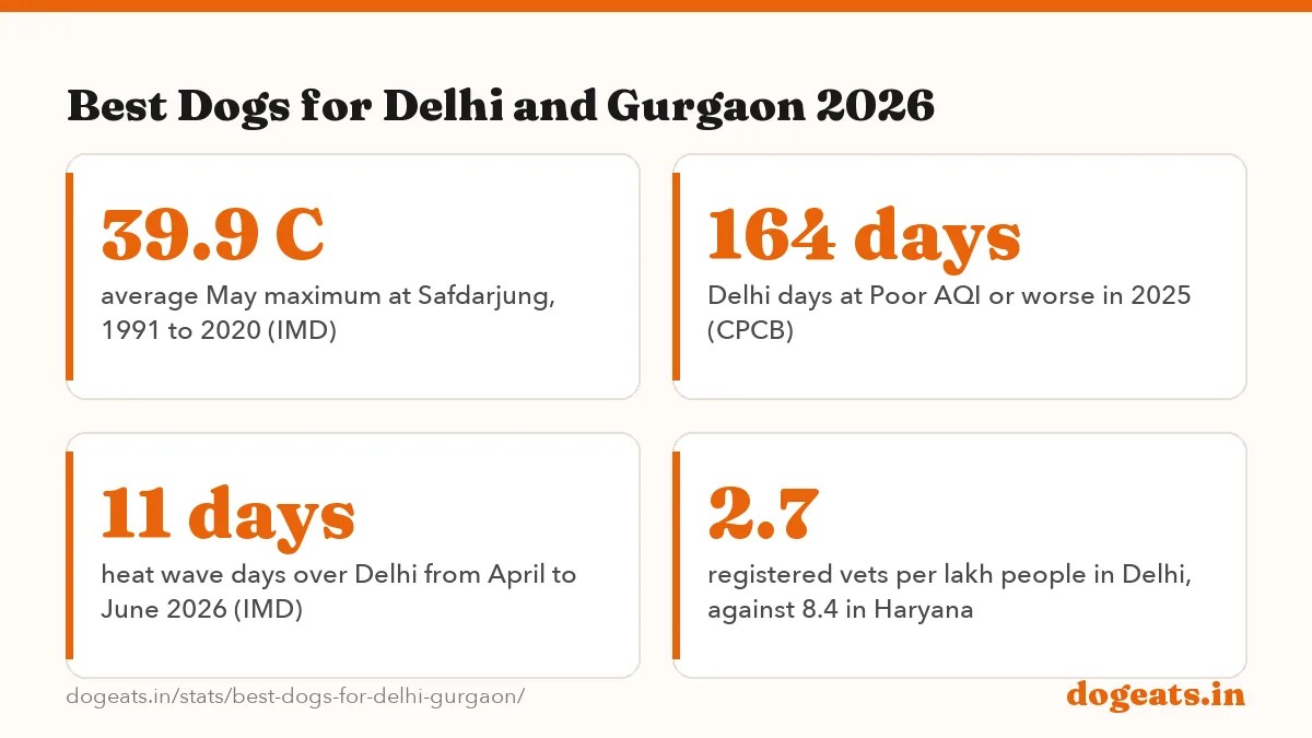 Best Dogs for Delhi and Gurgaon 2026: 95/100 Delhi score of the Indian Pariah Dog and Rampur Greyhound, the joint top breeds