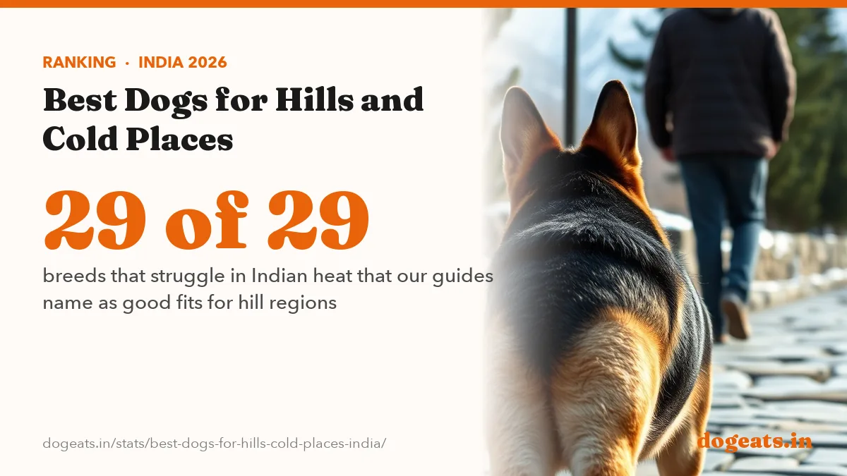 29 of 29 breeds that struggle in Indian heat that our guides name as good fits for hill regions