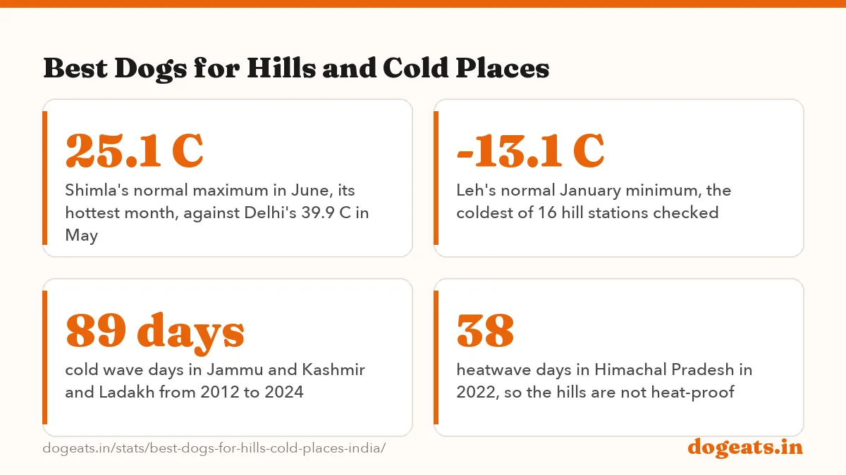 Best Dogs for Hills and Cold Places: 29 of 29 breeds that struggle in Indian heat that our guides name as good