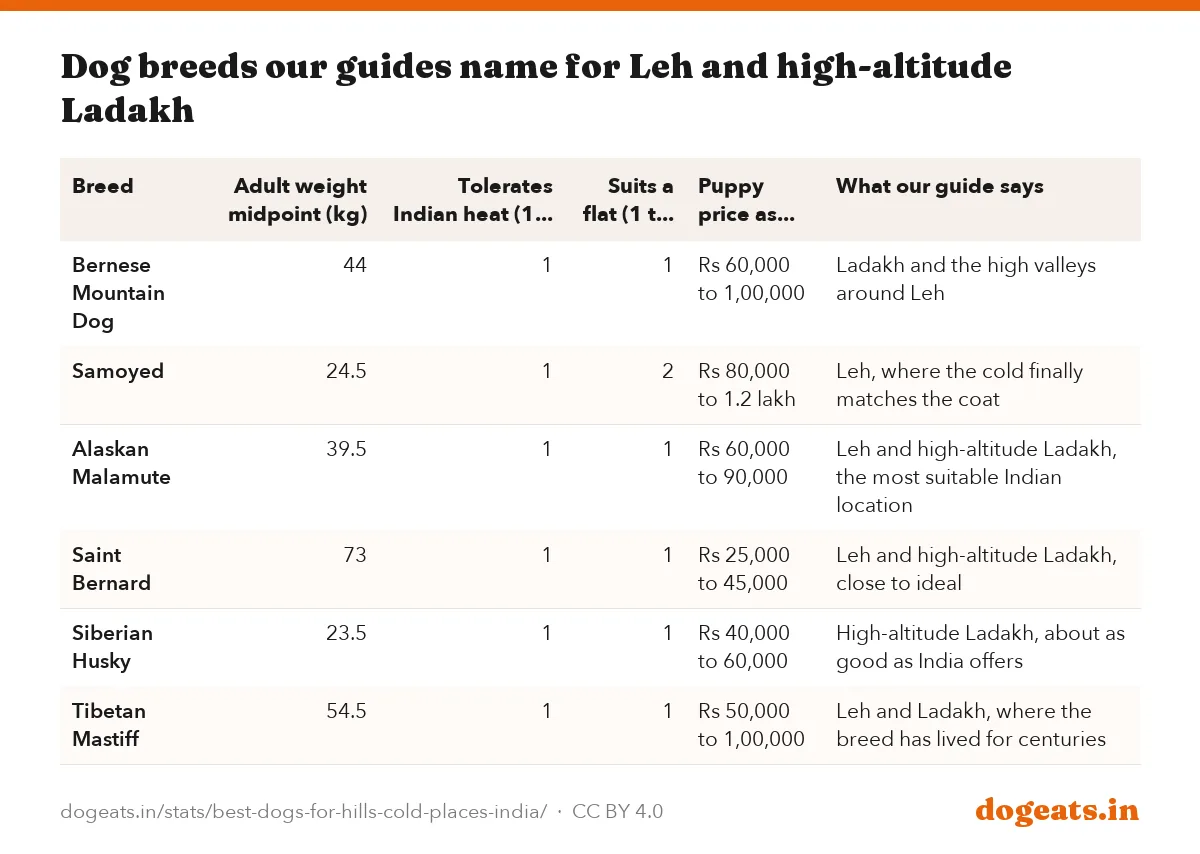 Dog breeds our guides name for Leh and high-altitude Ladakh