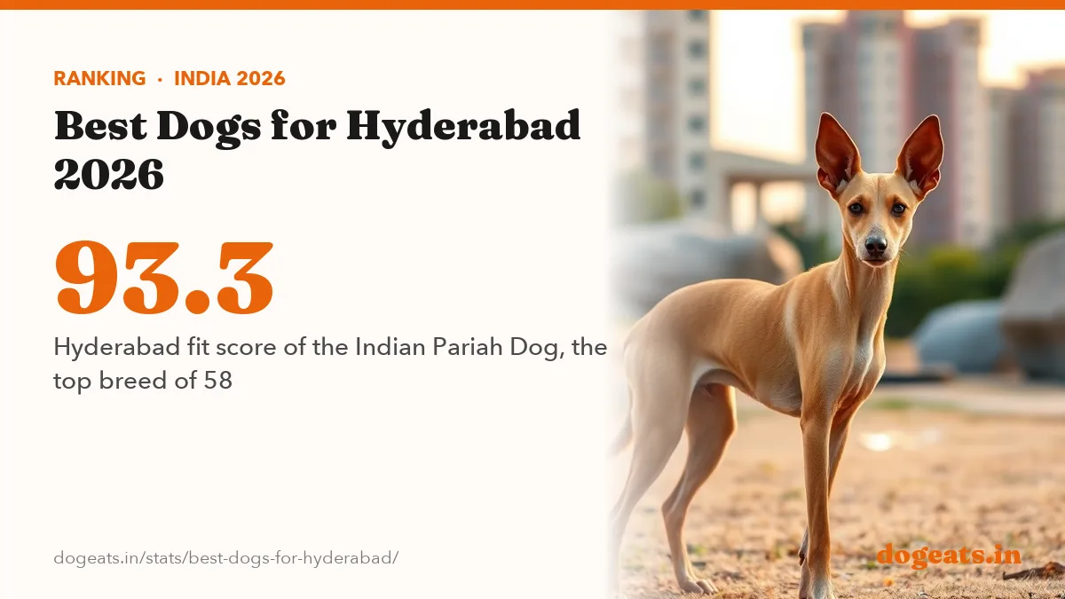 93.3 Hyderabad fit score of the Indian Pariah Dog, the top breed of 58
