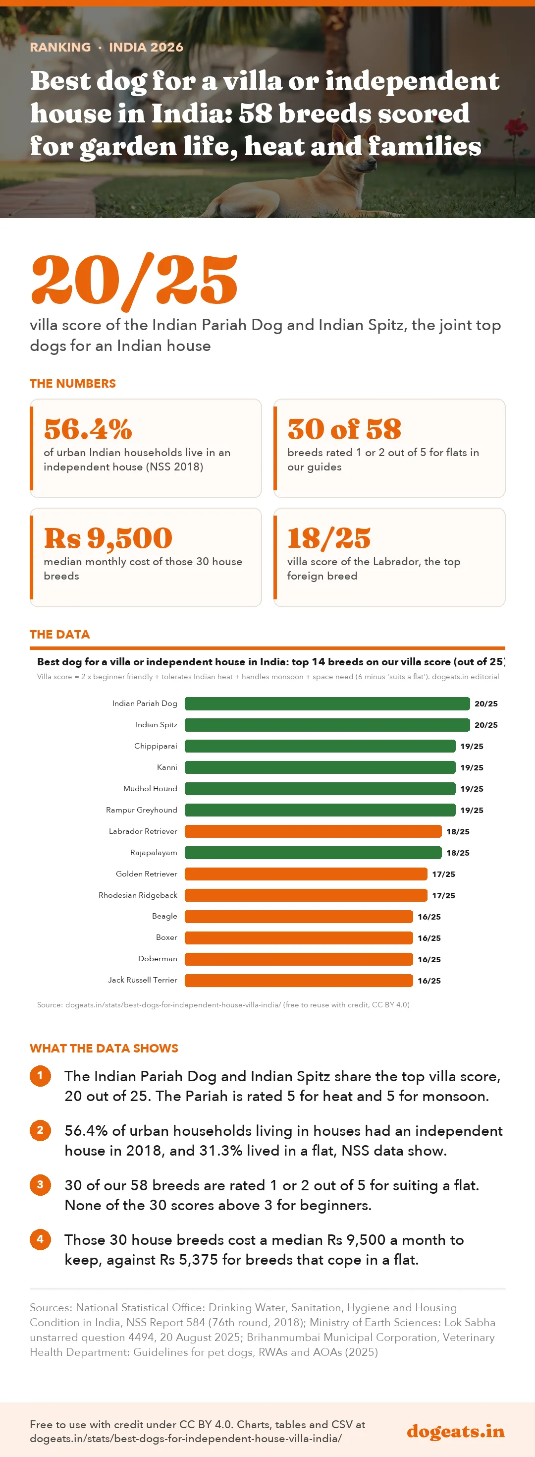 Infographic: Best dog for a villa or independent house in India: 58 breeds scored for garden life, heat and families