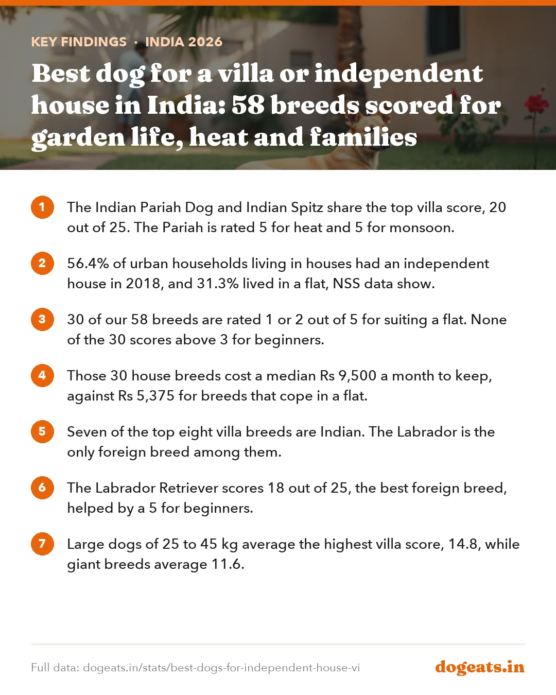 Key findings: Best dog for a villa or independent house in India: 58 breeds scored for garden life, heat and families