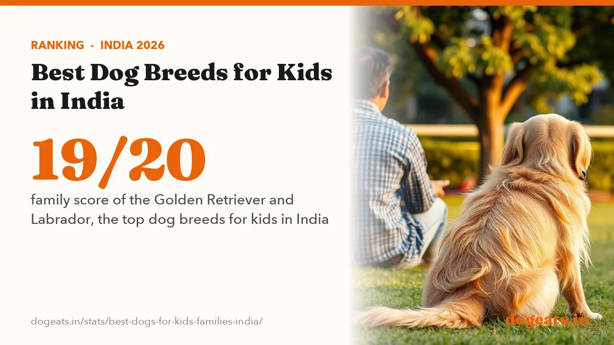 19/20 family score of the Golden Retriever and Labrador, the top dog breeds for kids in India