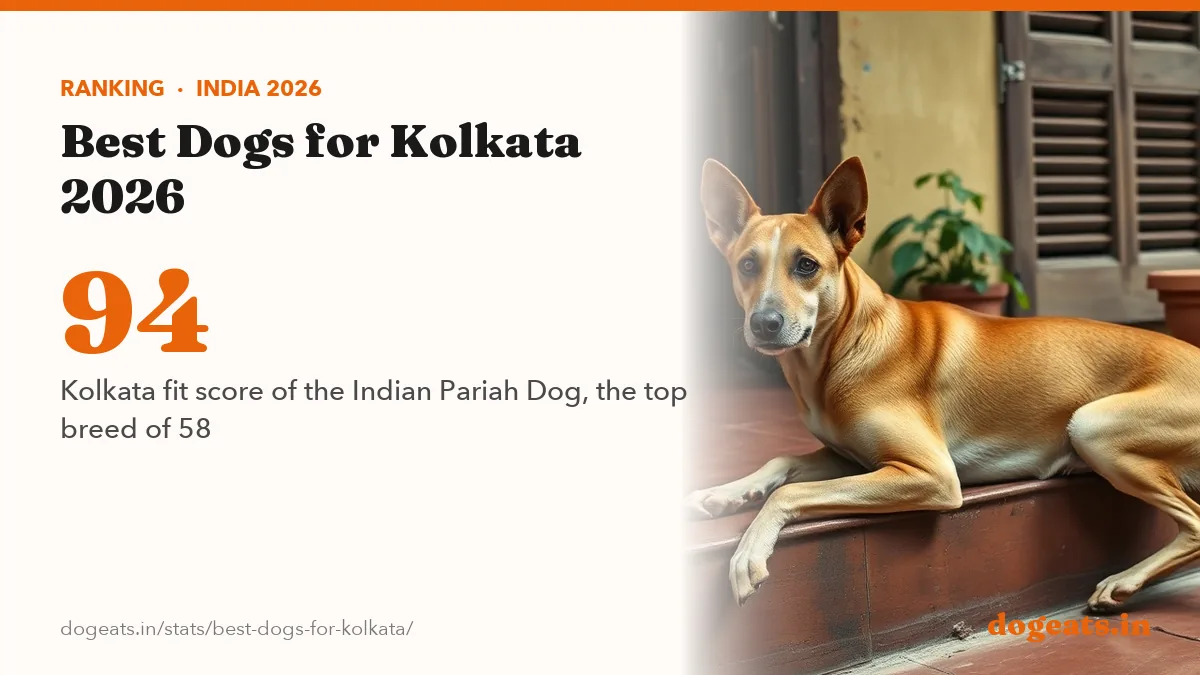 94 Kolkata fit score of the Indian Pariah Dog, the top breed of 58