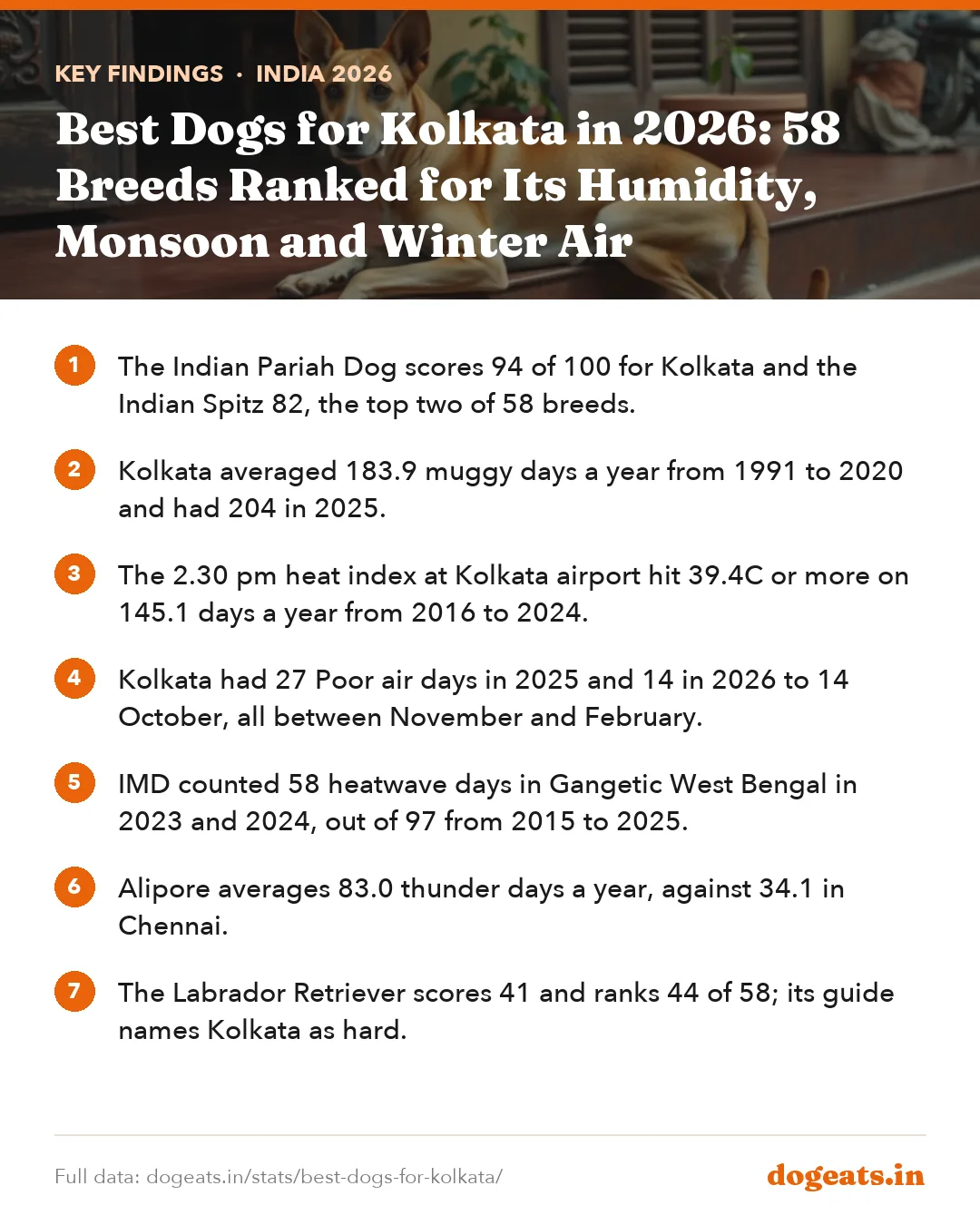 Key findings: Best Dogs for Kolkata in 2026: 58 Breeds Ranked for Its Humidity, Monsoon and Winter Air