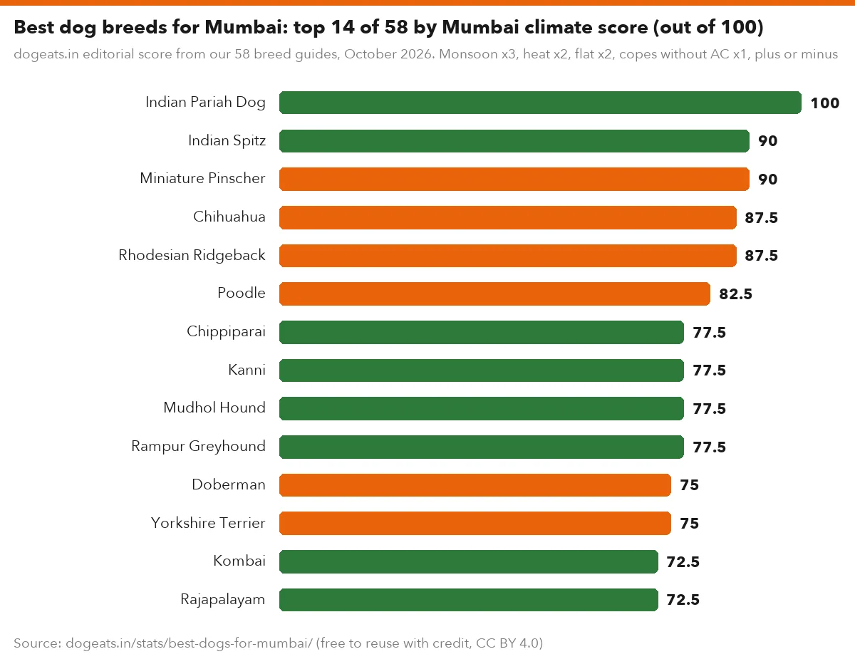 Best dog breeds for Mumbai: top 14 of 58 by Mumbai climate score (out of 100)