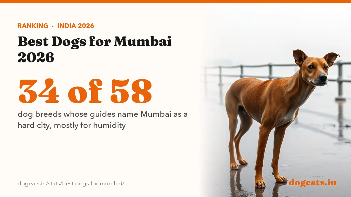 34 of 58 dog breeds whose guides name Mumbai as a hard city, mostly for humidity