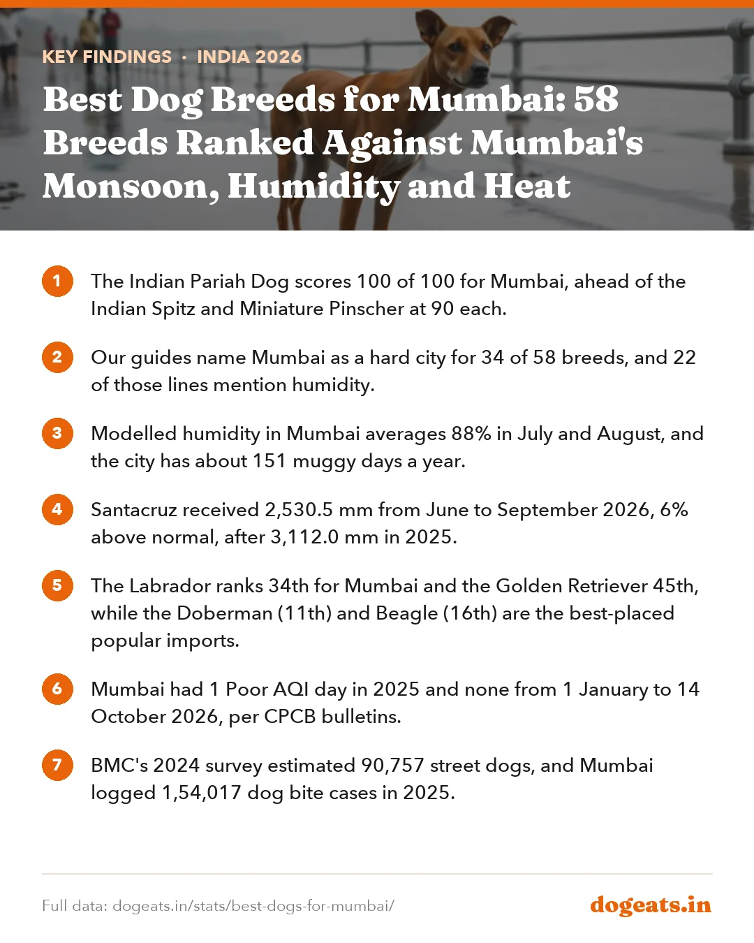 Key findings: Best Dog Breeds for Mumbai: 58 Breeds Ranked Against Mumbai's Monsoon, Humidity and Heat