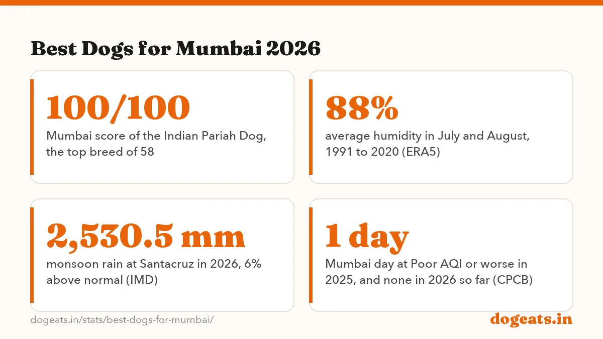 Best Dogs for Mumbai 2026: 34 of 58 dog breeds whose guides name Mumbai as a hard city, mostly for humidity