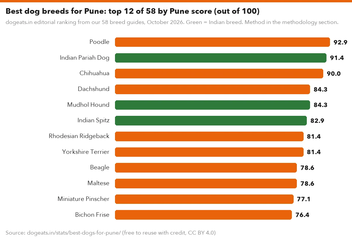 Best dog breeds for Pune: top 12 of 58 by Pune score (out of 100)