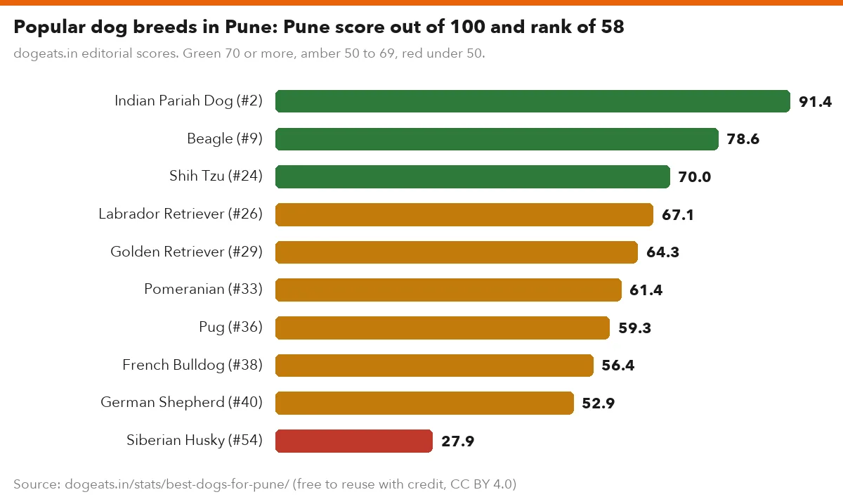 Popular dog breeds in Pune: Pune score out of 100 and rank of 58