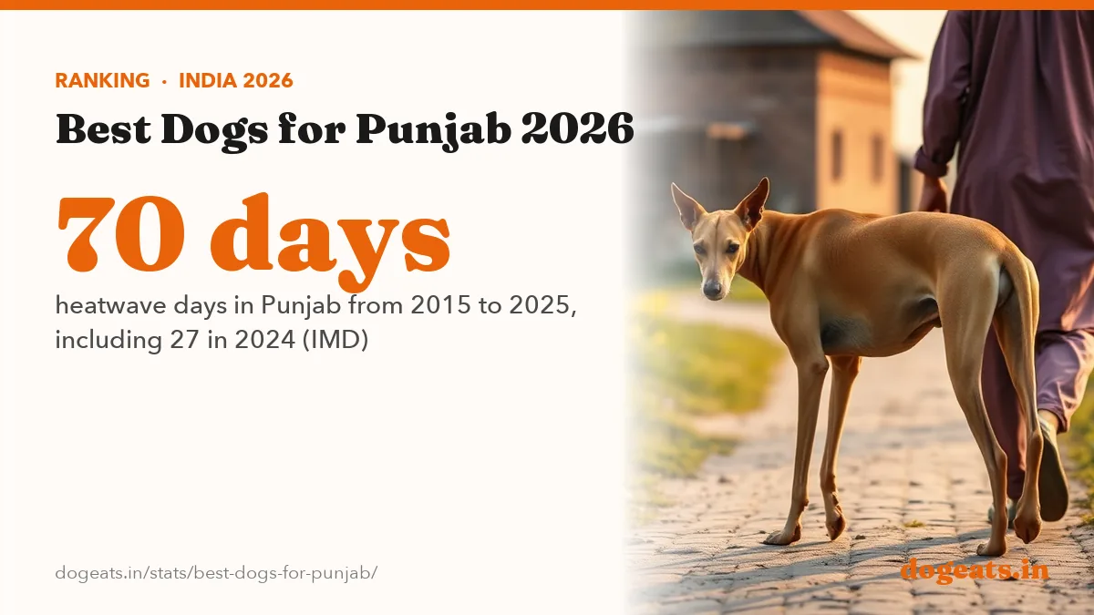 70 days heatwave days in Punjab from 2015 to 2025, including 27 in 2024 (IMD)