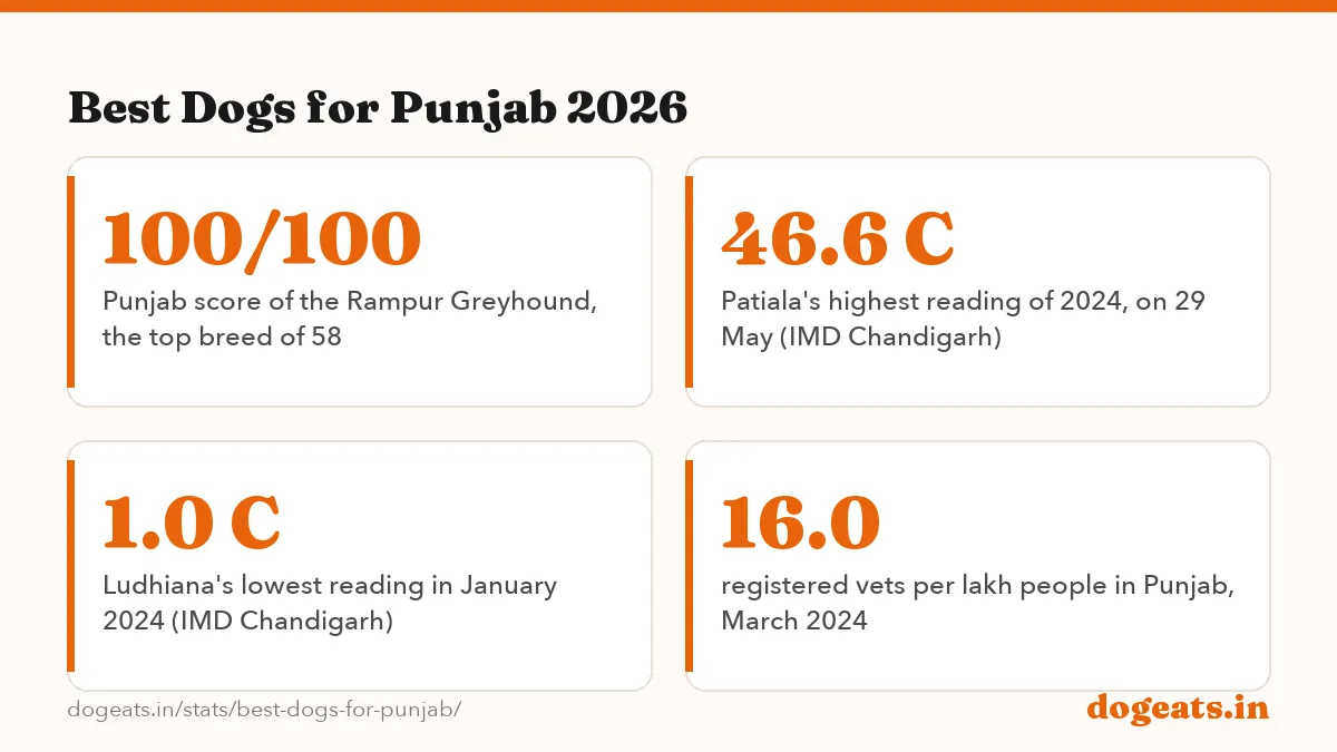 Best Dogs for Punjab 2026: 70 days heatwave days in Punjab from 2015 to 2025, including 27 in 2024 (IMD)