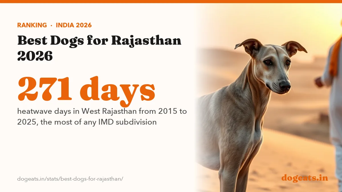 271 days heatwave days in West Rajasthan from 2015 to 2025, the most of any IMD subdivision