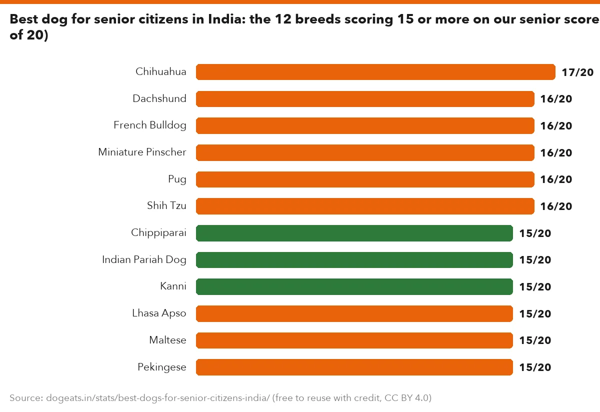 Best dog for senior citizens in India: the 12 breeds scoring 15 or more on our senior score (out of 20)