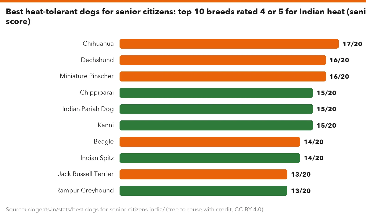 Best heat-tolerant dogs for senior citizens: top 10 breeds rated 4 or 5 for Indian heat (senior score)