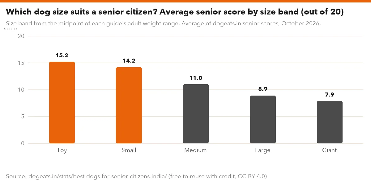 Which dog size suits a senior citizen? Average senior score by size band (out of 20)
