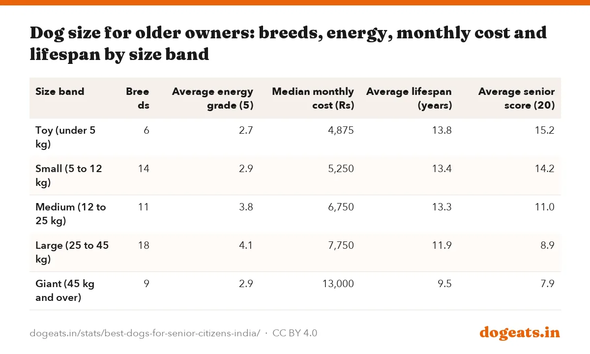 Dog size for older owners: breeds, energy, monthly cost and lifespan by size band