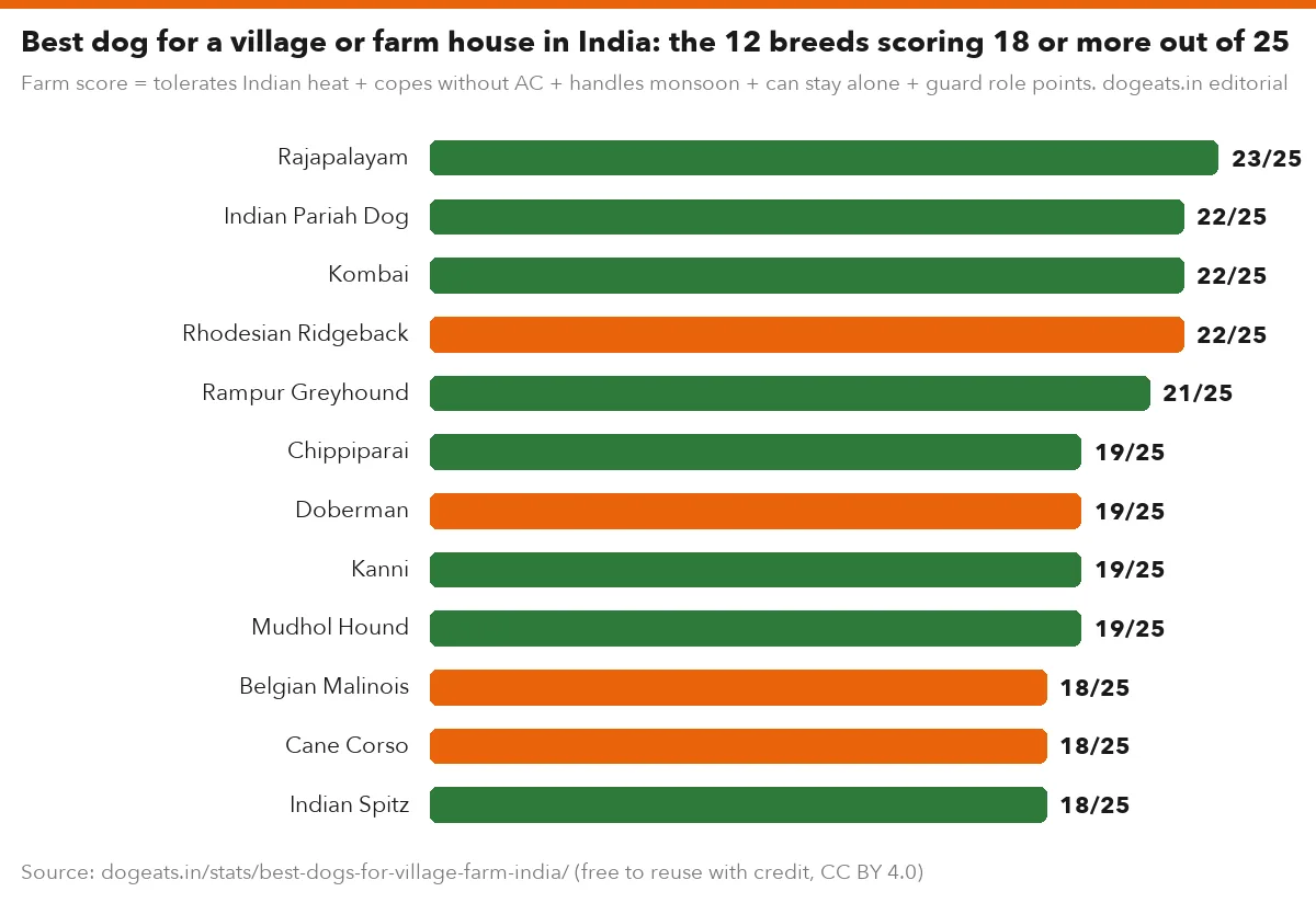Best dog for a village or farm house in India: the 12 breeds scoring 18 or more out of 25