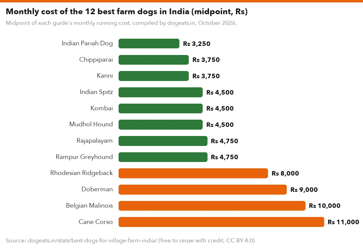 Monthly cost of the 12 best farm dogs in India (midpoint, Rs)