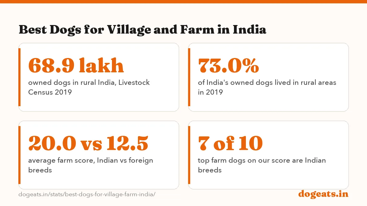 Best Dogs for Village and Farm in India: 23/25 farm score of the Rajapalayam, the top dog for Indian villages and farms